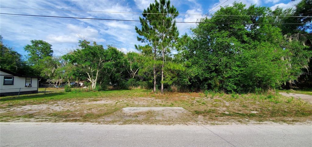 Photo of 355 Chinaberry Avenue, Oviedo, FL 32765 (MLS # O6404837)