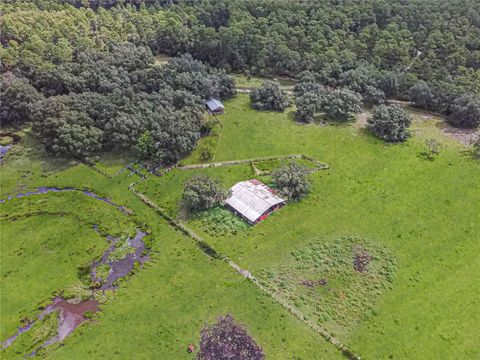 Tiny photo for 3350 NE 125th Terrace Road, Silver Springs, FL 34488 (MLS # OM645655)
