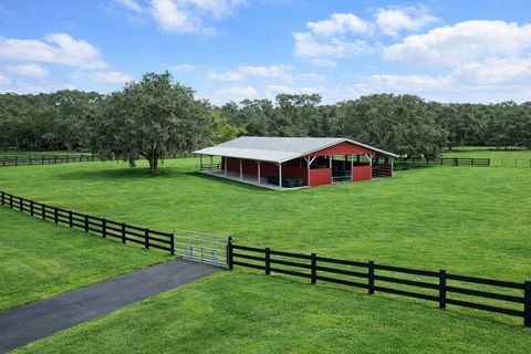 Tiny photo for 3350 NE 125th Terrace Road, Silver Springs, FL 34488 (MLS # OM645655)