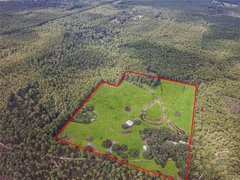 Tiny photo for 3350 NE 125th Terrace Road, Silver Springs, FL 34488 (MLS # OM645655)