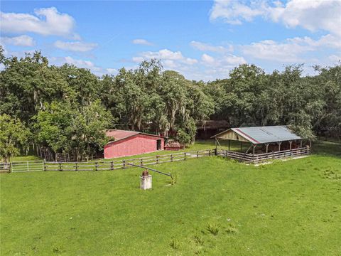 Tiny photo for 3350 NE 125th Terrace Road, Silver Springs, FL 34488 (MLS # OM645655)