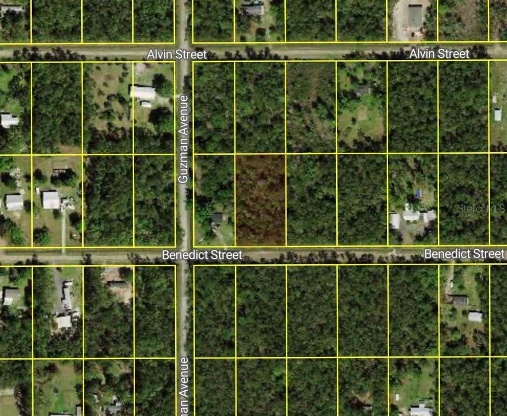 Photo of 4260 Benedict Street, Hastings, FL 32145 (MLS # O6349655)