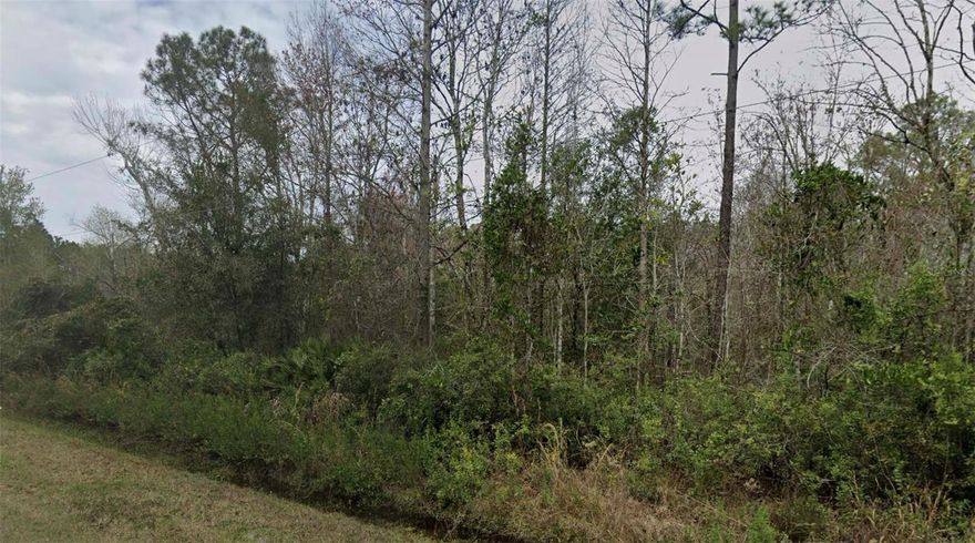 Discover this vacant land of over 1 acre in Flagler Estates, located in growing St. Johns County. This property offers plenty of room for your future home, workshop, or recreational use. No HOA, no CDD fees, and plenty of space for boats, RVs, or other toys. Just a short drive to St. Augustine, Palm Coast, and the beaches.  All information is deemed reliable but should be independently verified.