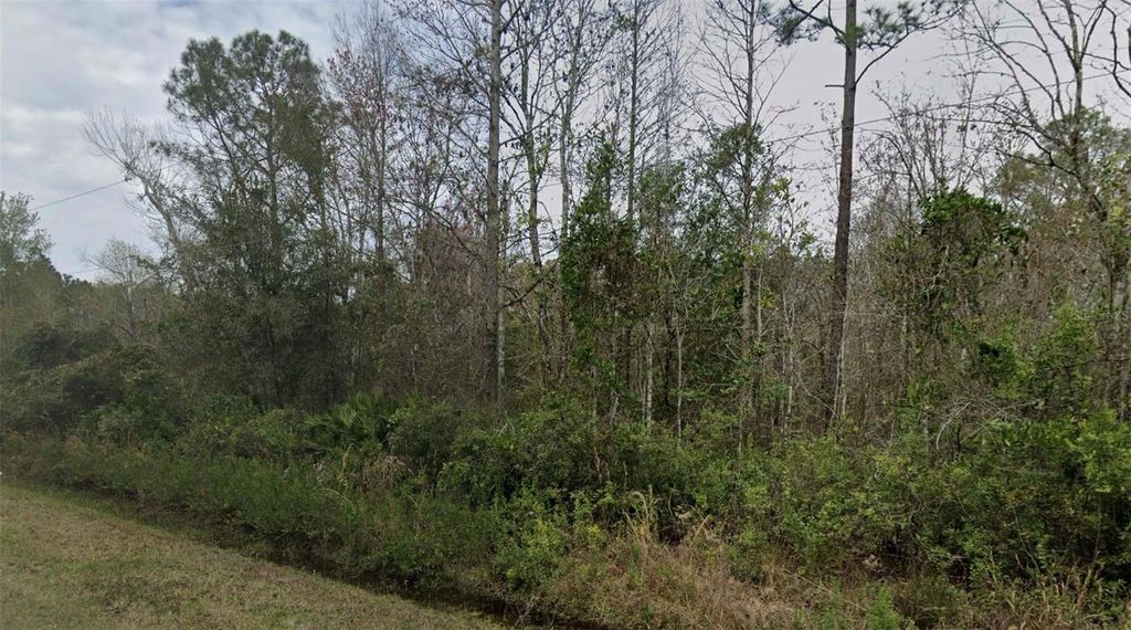 Photo of 4260 Benedict Street, Hastings, FL 32145 (MLS # O6349655)