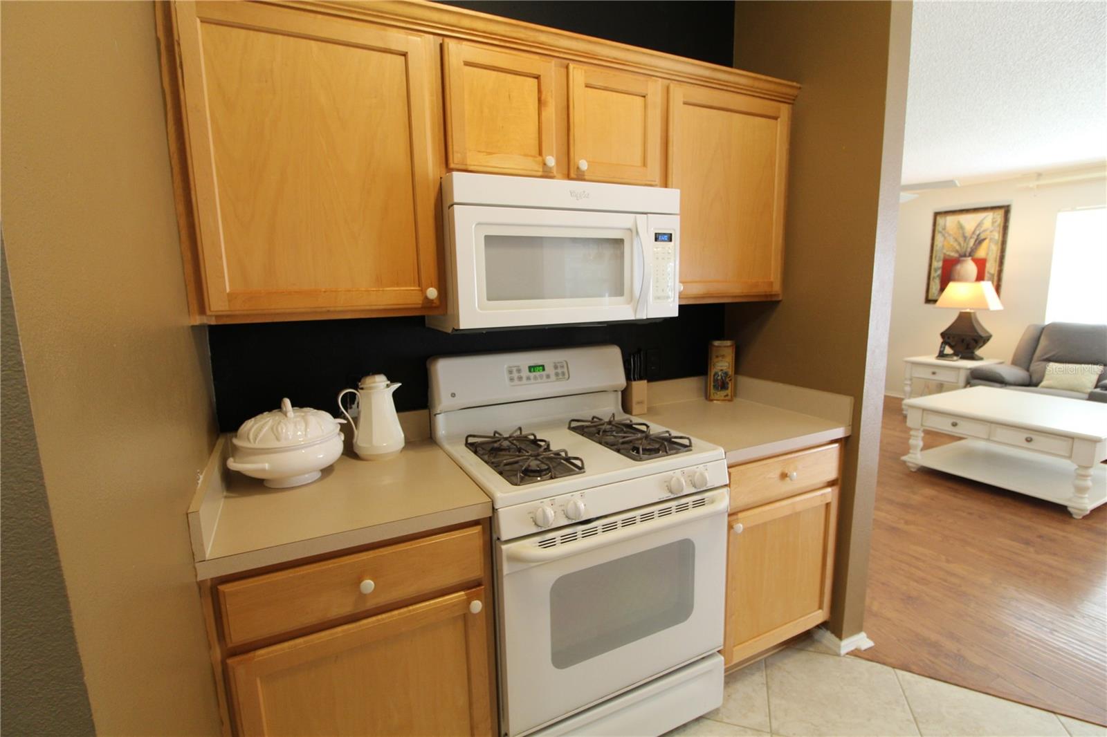VILLAGES OF SUMTER RAINEY VILLAS - Residential