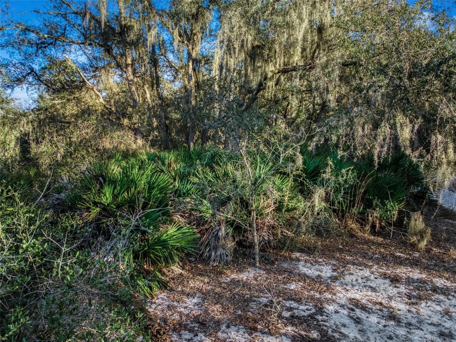 SPRING LAKE VILL 06 - Land