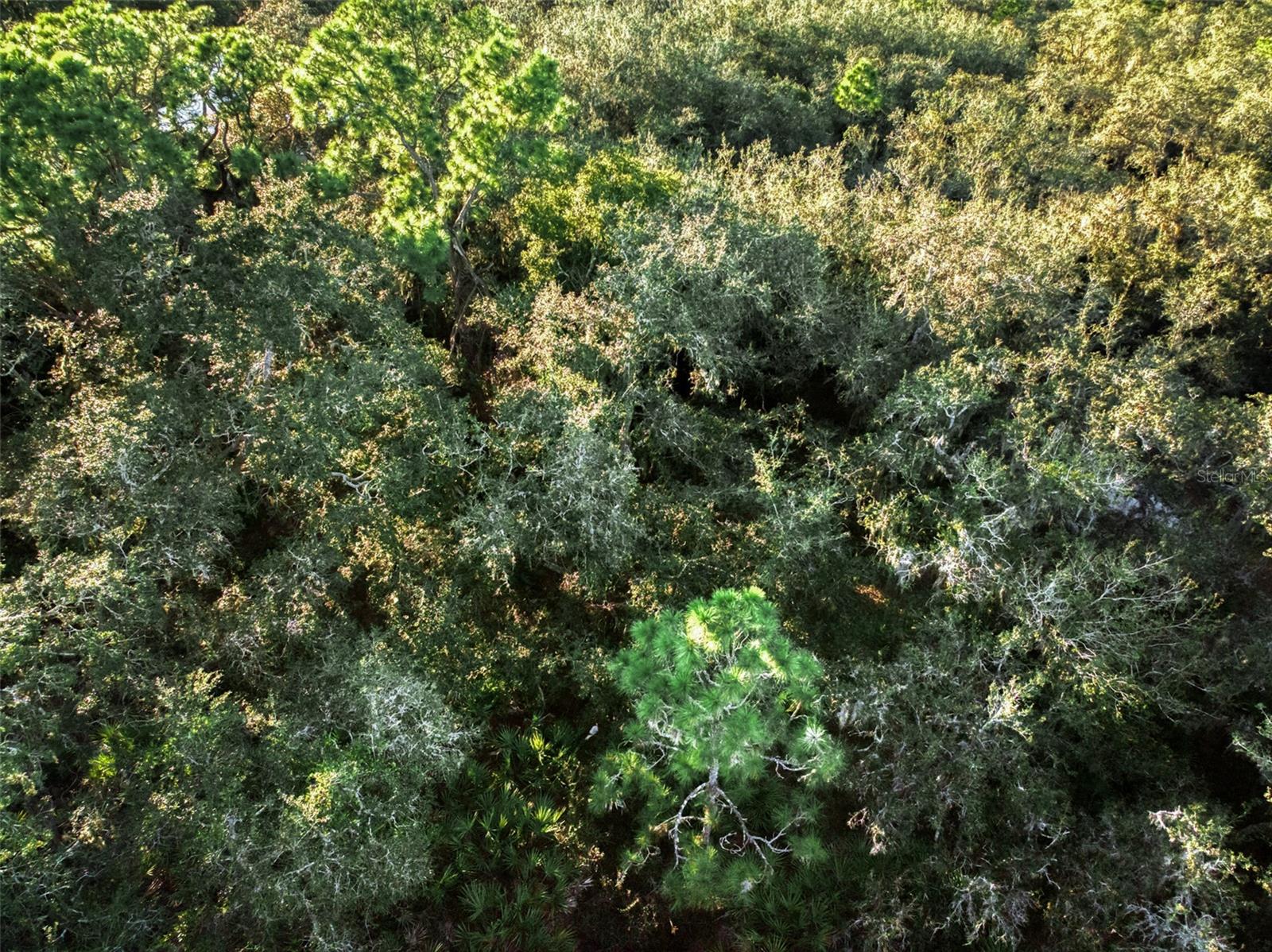 SPRING LAKE VILL 06 - Land