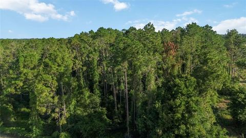 Tiny photo for 23175 N Buckhill Road, Howey In The Hills, FL 34737 (MLS # O6408786)