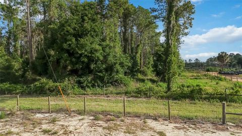 Tiny photo for 23175 N Buckhill Road, Howey In The Hills, FL 34737 (MLS # O6408786)