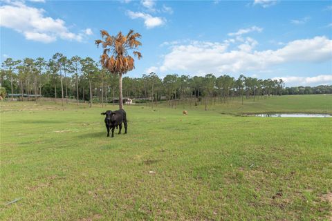 Tiny photo for 23175 N Buckhill Road, Howey In The Hills, FL 34737 (MLS # O6408786)
