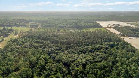 Tiny photo for 23175 N Buckhill Road, Howey In The Hills, FL 34737 (MLS # O6408786)
