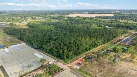 Tiny photo for 23175 N Buckhill Road, Howey In The Hills, FL 34737 (MLS # O6408786)