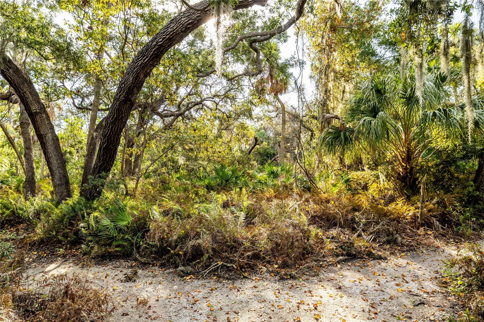 WEST BAYOU - Residential
