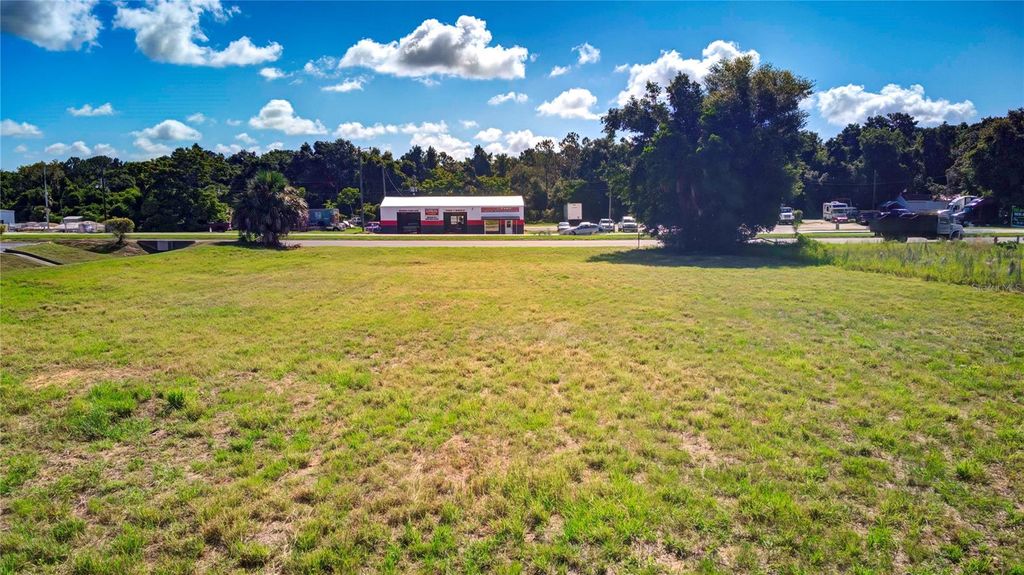 Photo of 3118 S Florida Avenue, Inverness, FL 34450 (MLS # W7866092)