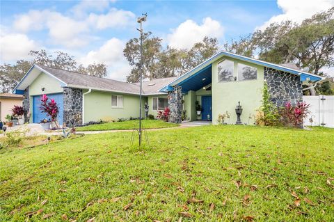 A home in PALM COAST