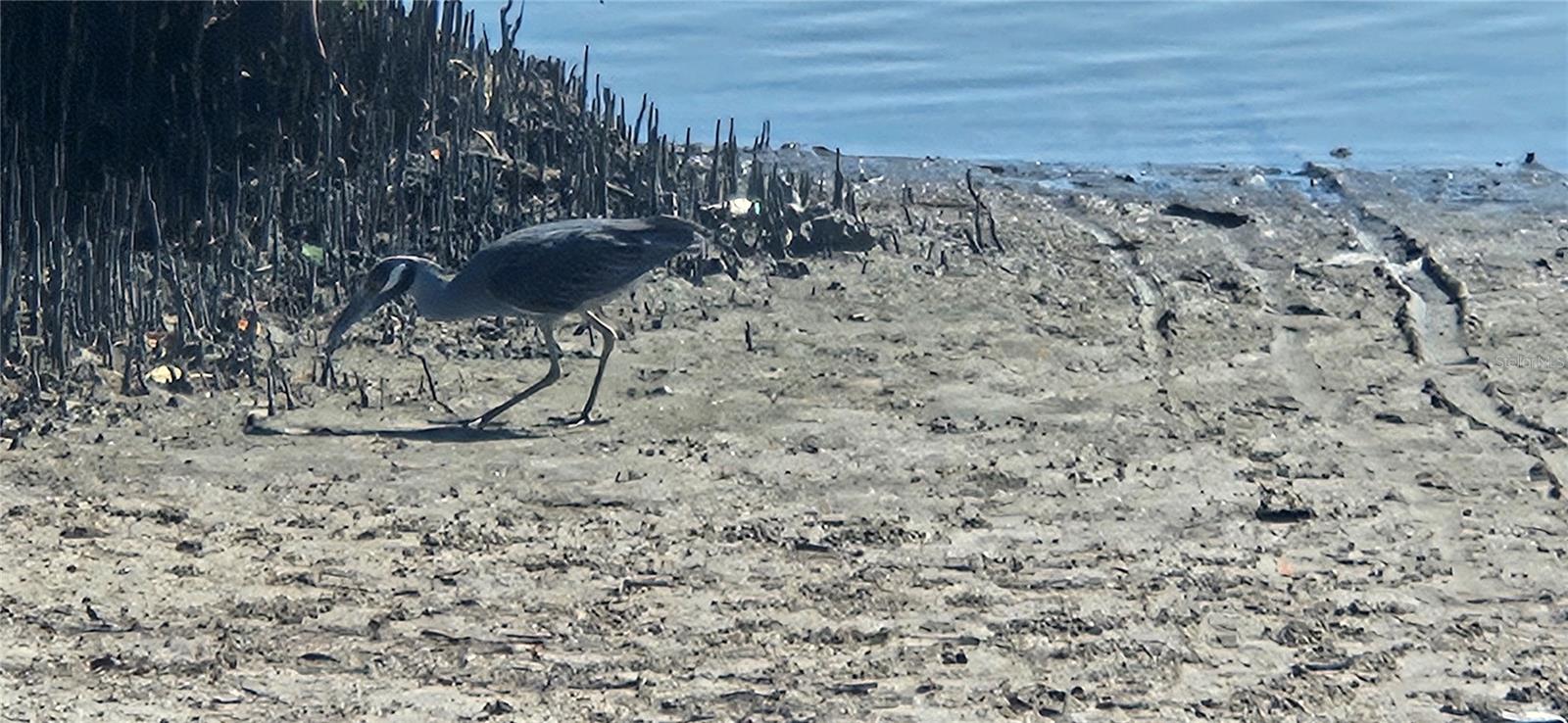 BAYSHORE GARDENS SEC 19 - Residential