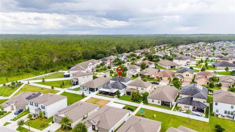 A home in RIVERVIEW