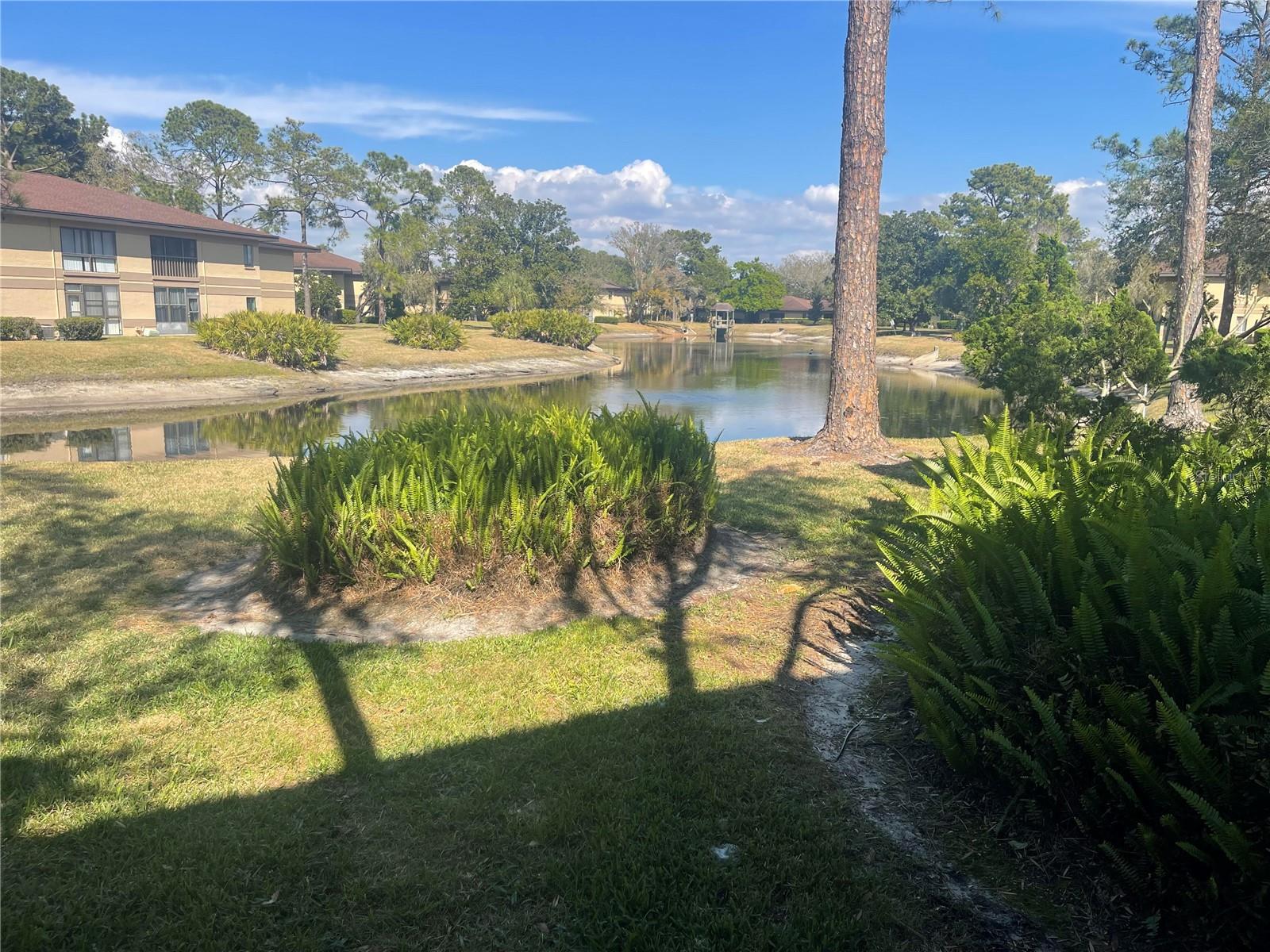 MISTY SPGS CONDO - Residential