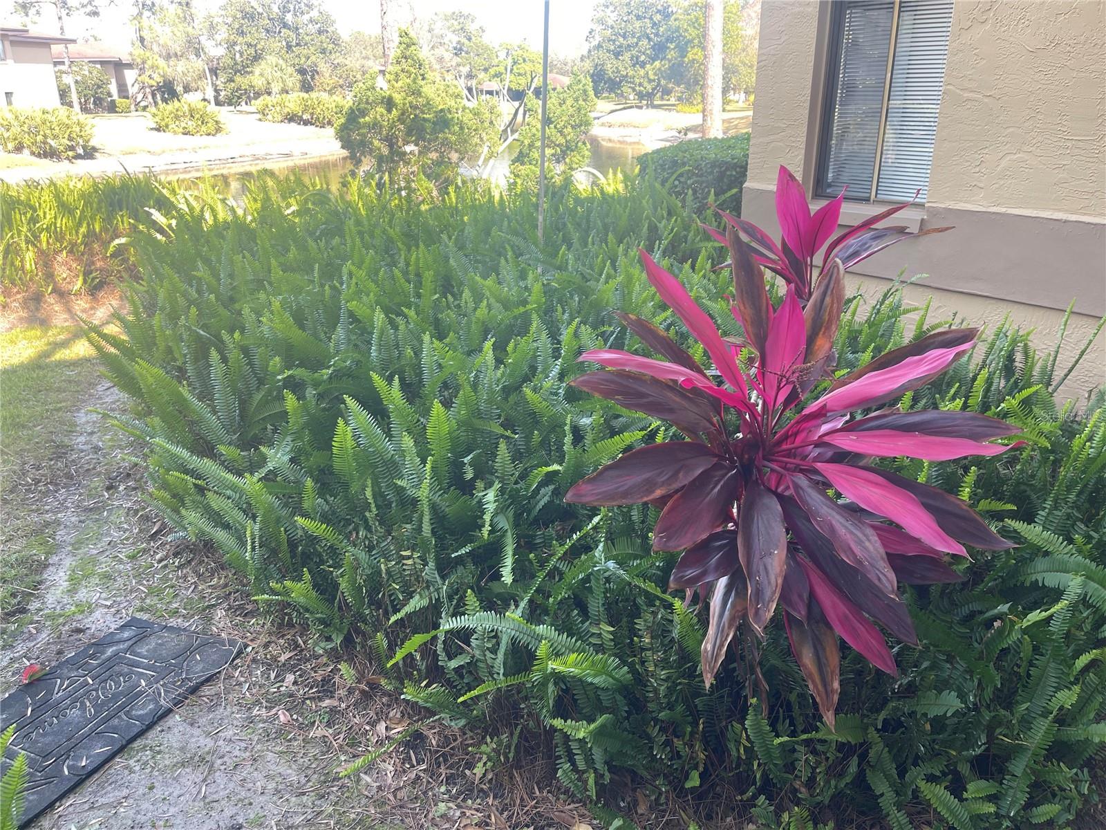 MISTY SPGS CONDO - Residential