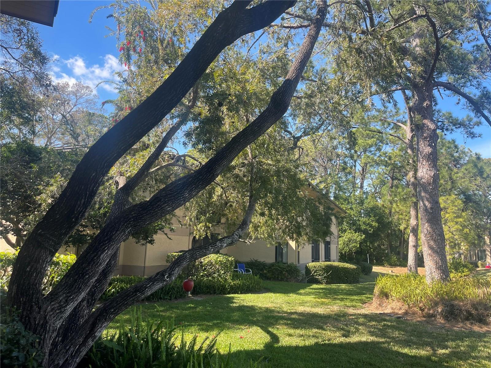 MISTY SPGS CONDO - Residential