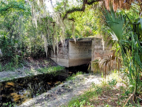 Tiny photo for 1495 N Toro Drive, Inverness, FL 34453 (MLS # A4696451)