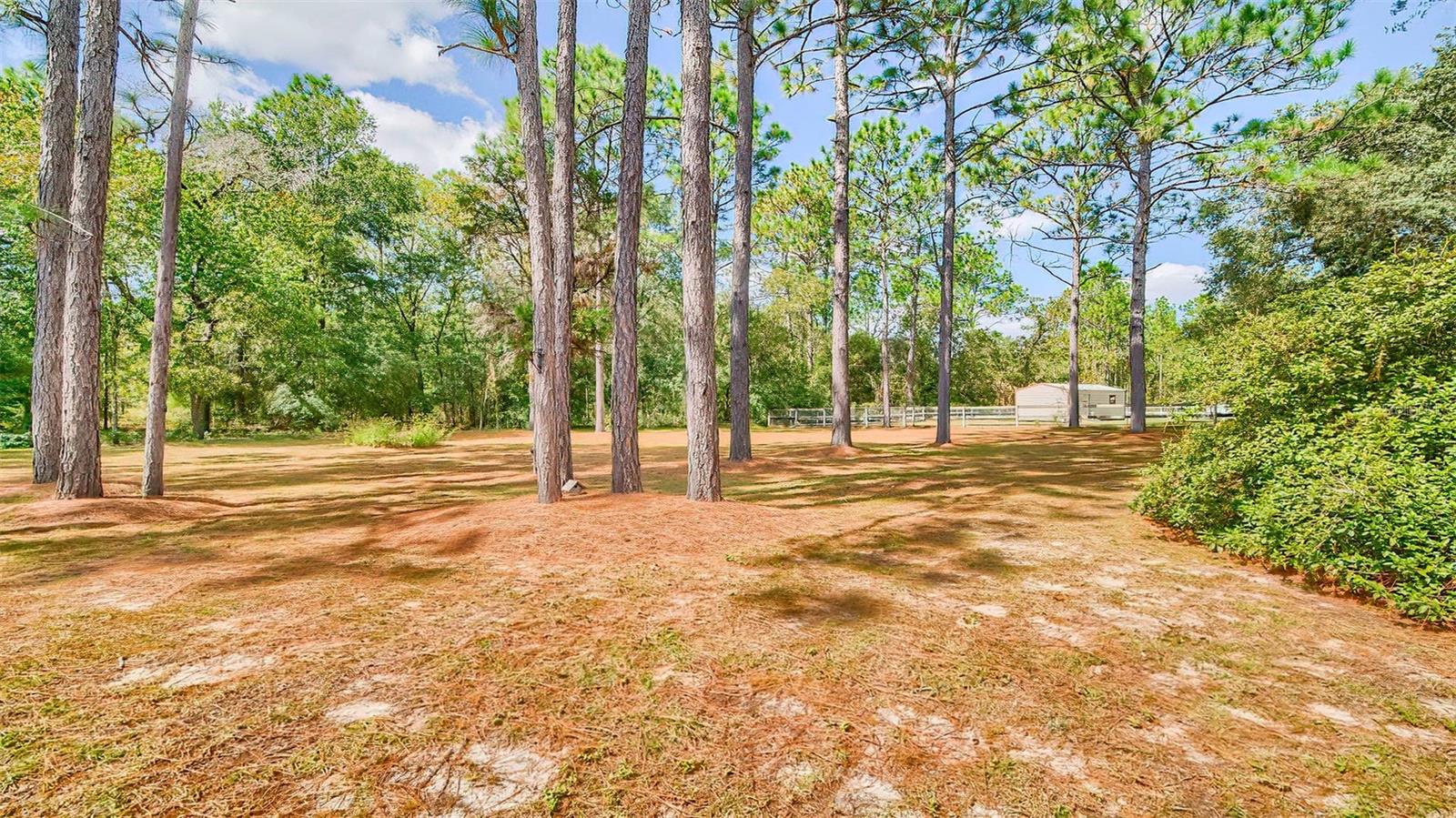 WILLISTON HYLNDS GOLF & C CLUB ESTATE - Residential