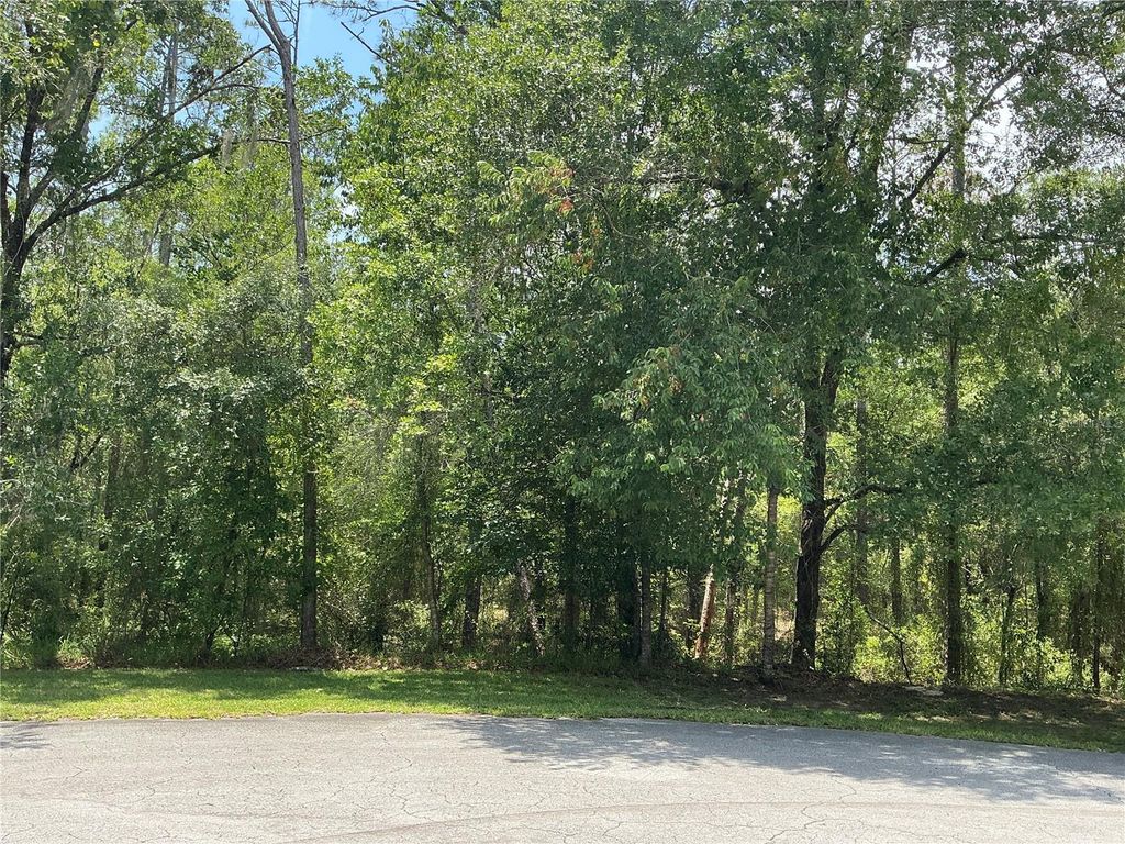Photo of SW 90th Place, Dunnellon, FL 34431 (MLS # OM728568)
