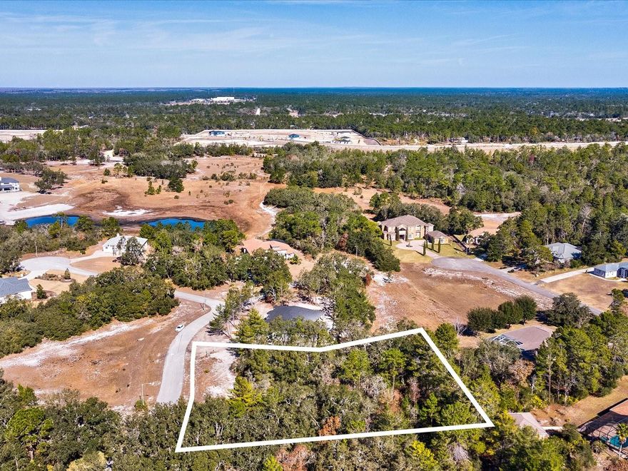 Build your dream home on 1.5 acres in the beautiful Tooke Lake Estates adjacent to the Woodland Waters Community!  This spacious vacant residential lot offers the perfect blend of privacy, flexibility, and convenience—an ideal setting to bring your vision to life with the builder of your choice. Situated on a county-maintained paved road, the property is surrounded by mature trees and a well-kept neighborhood featuring underground electric and public water.  Septic will be needed. A low HOA helps maintain the community’s appearance while preserving a relaxed residential feel. Individual mailboxes at each home, and no CDD means lower ongoing costs.  Enjoy the best of Florida living with everyday conveniences close by, plus easy access to outdoor fun and local attractions—kayaking, snorkeling, waterfront dining, Buccaneer Bay, and trips out to Pine Island to watch the sunset. Whether you’re planning a primary residence or a future retreat, this lot offers space, setting, and location—ready for your next chapter.