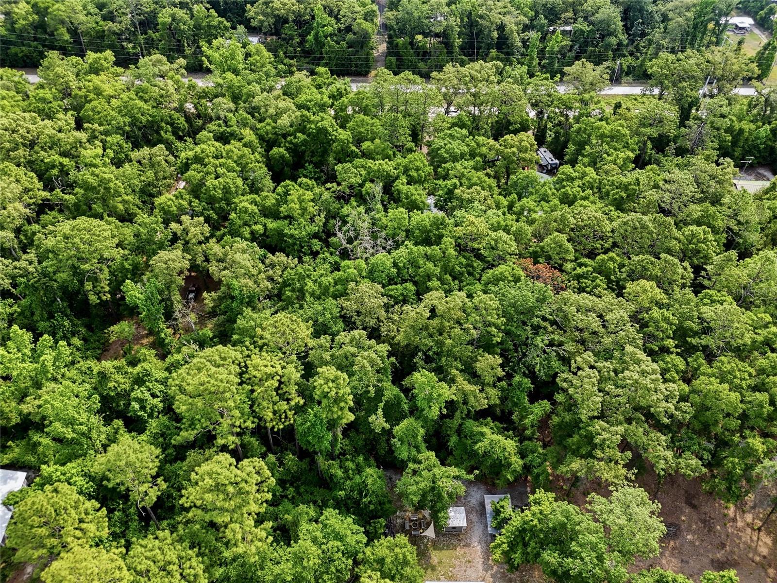 THREE RIVERS ESTATES - Residential