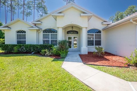 A home in PALM COAST