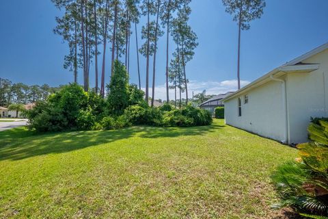 A home in PALM COAST