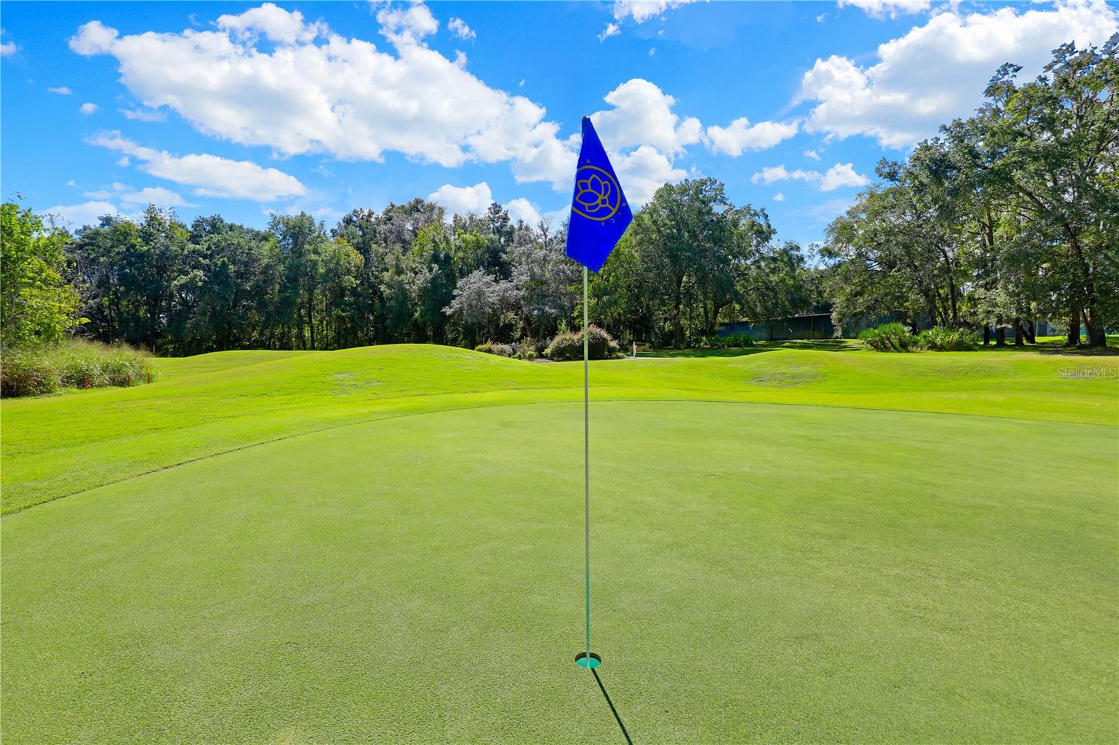 MAGNOLIA PT GOLF & CC PH 07 - Residential