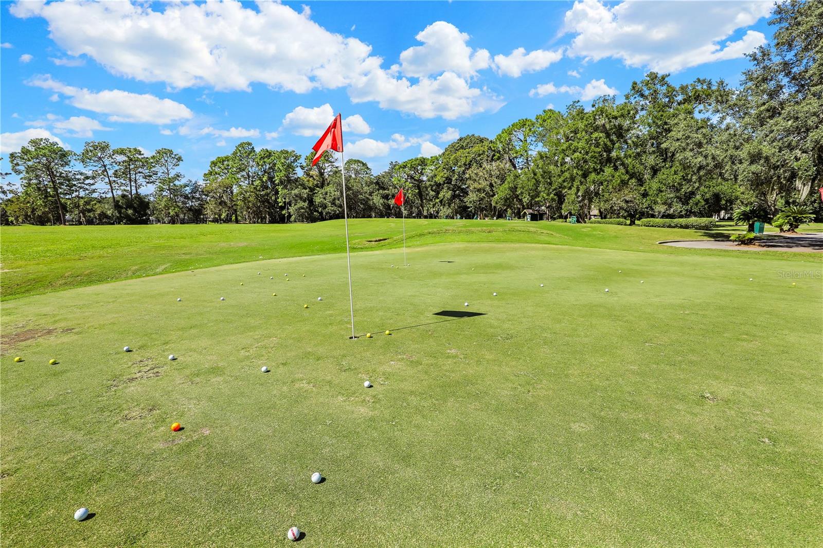 MAGNOLIA PT GOLF & CC PH 07 - Residential