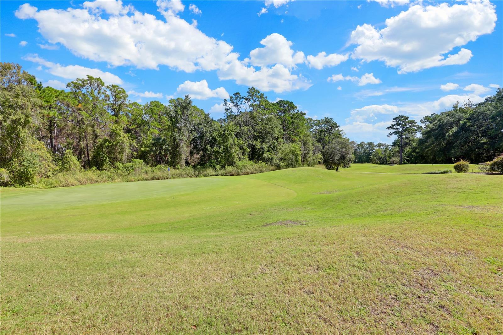 MAGNOLIA PT GOLF & CC PH 07 - Residential