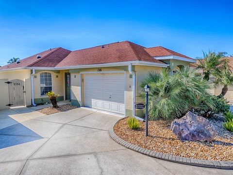 1316 LAJOLLA CIRCLE THE VILLAGES FL 32159