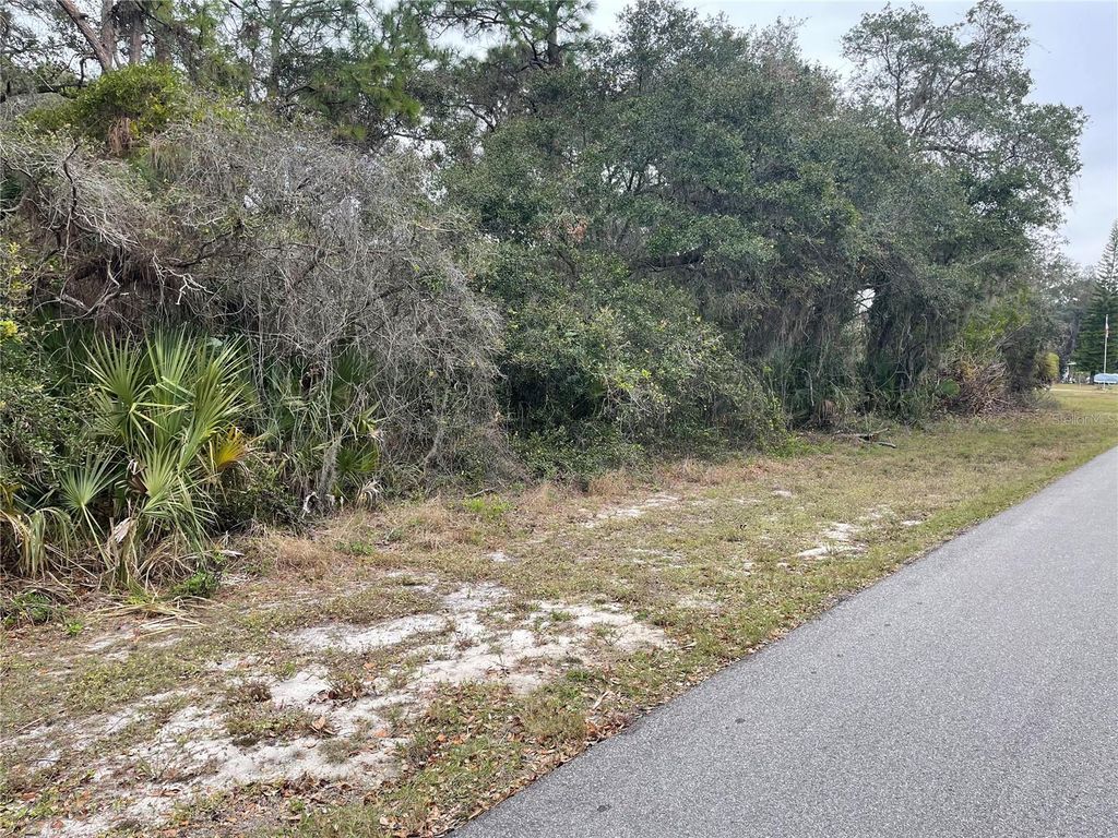 Photo of 17380 Tyler Avenue, Port Charlotte, FL 33948 (MLS # T3352420)