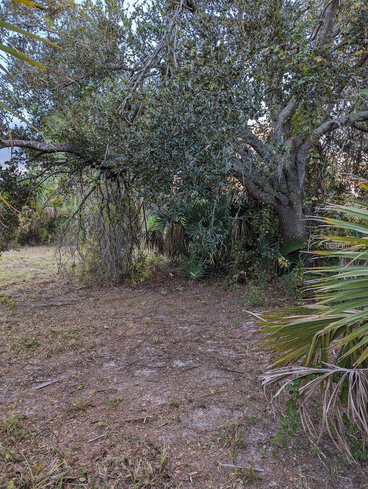 PORT CHARLOTTE SUB 44 - Land