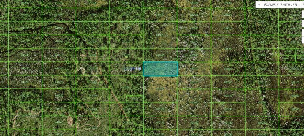 Photo of Old Grade Rd, Polk City, FL 33868 (MLS # O6265124)