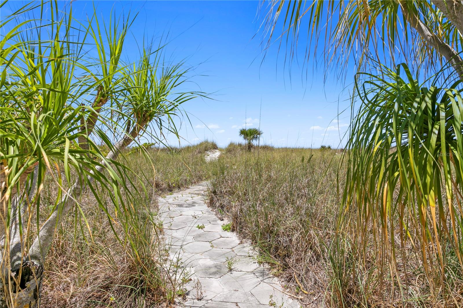 COLONIAL CORP REP - Residential