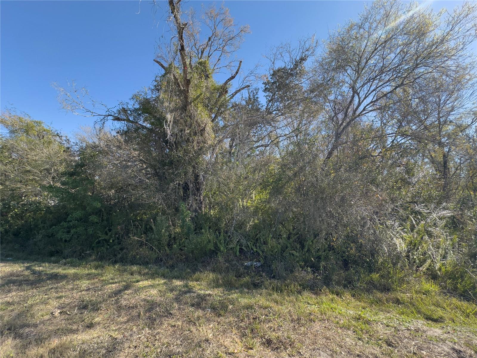 36424 SINGLETARY ROAD