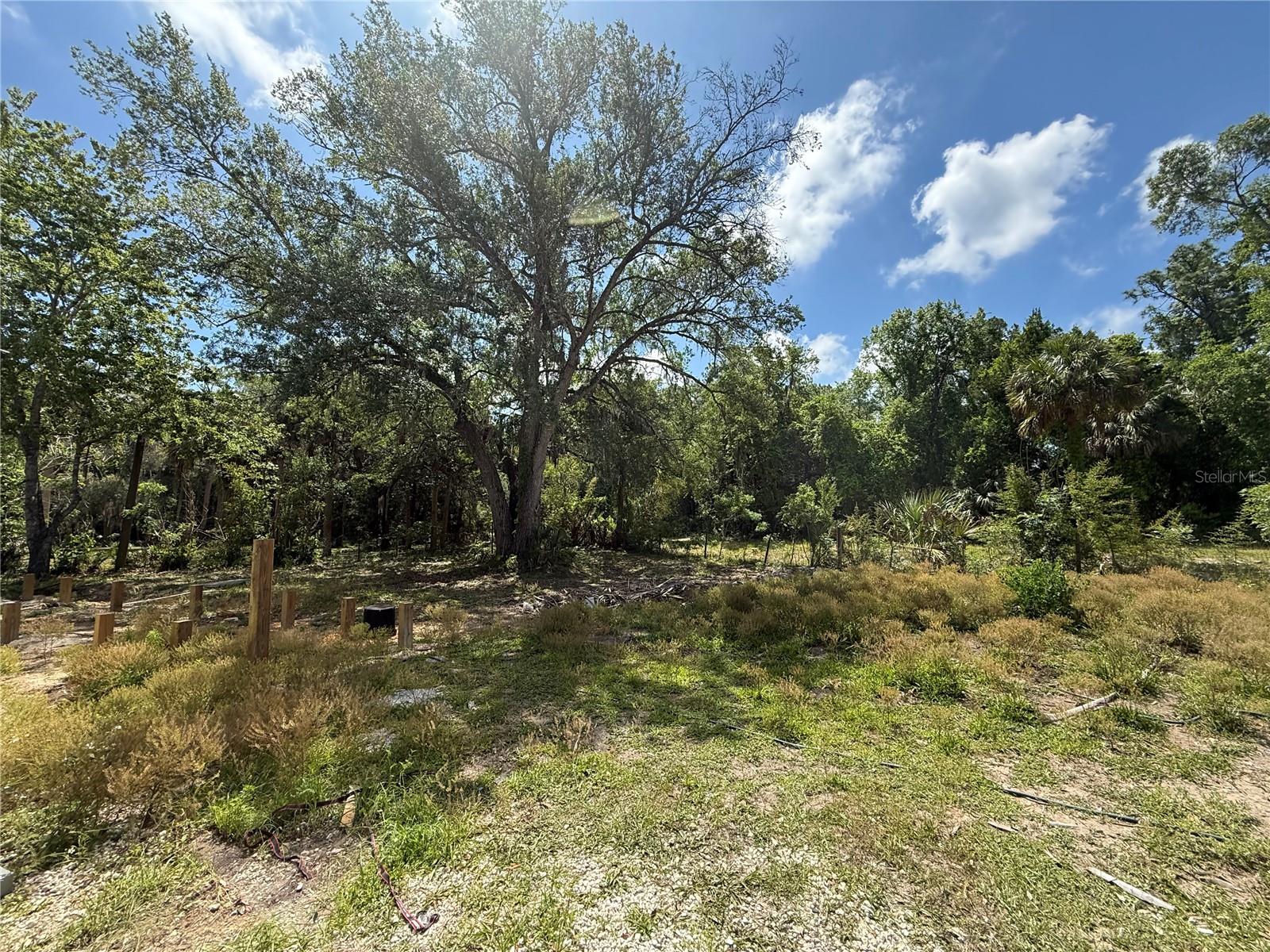 COSONS INGLIS ACRES - Residential