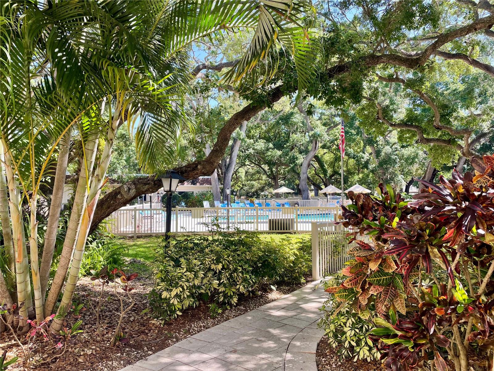 PATRICIAN OAKS - Residential