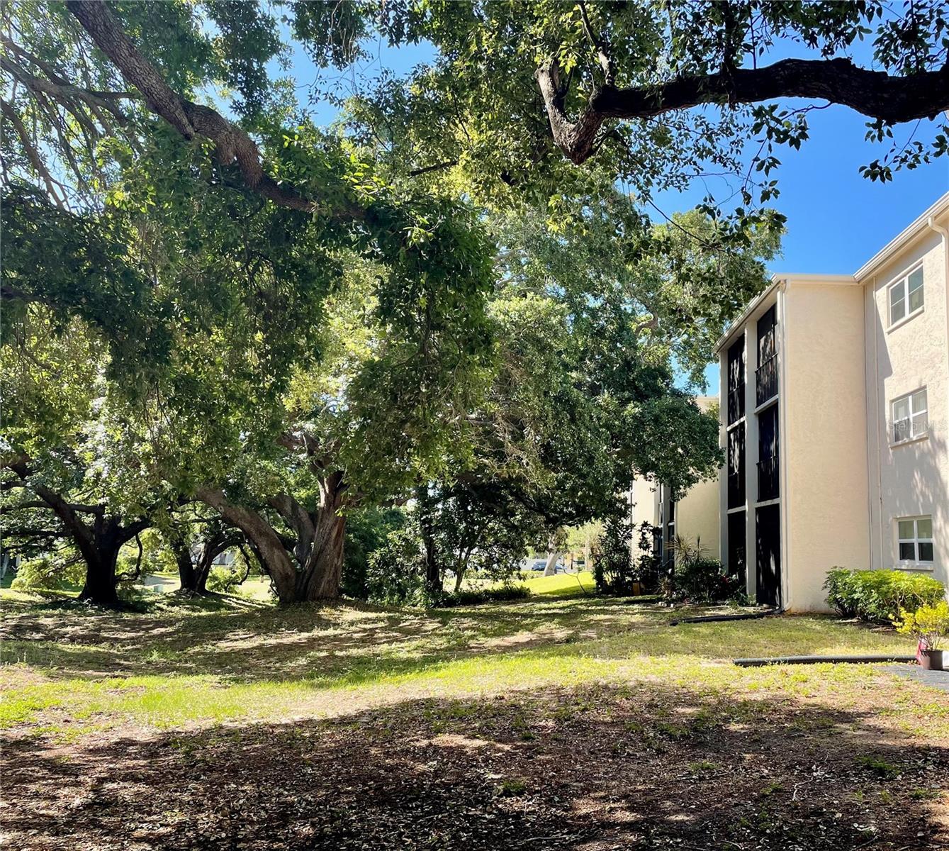 PATRICIAN OAKS - Residential
