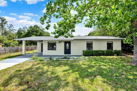 Photo of 17234 Adela Street, Dade City, FL 33523 (MLS # TB8504742)