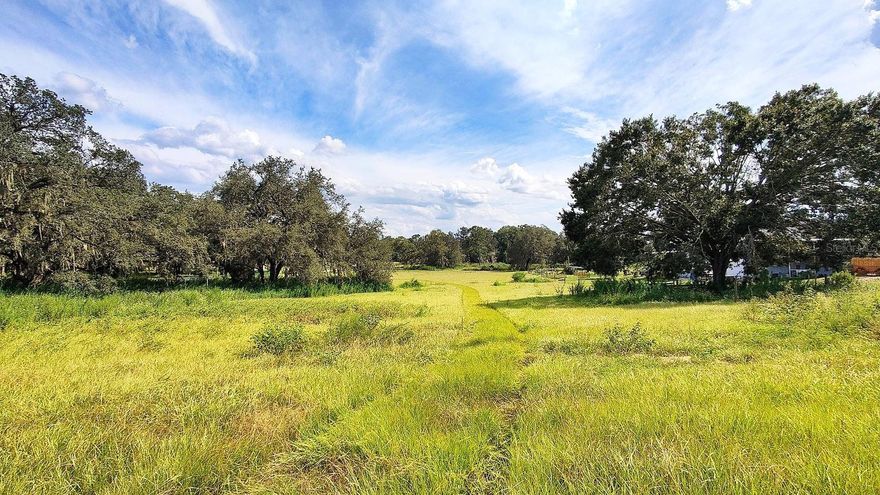 Gorgeous 10 acres for sale in the rolling hills of Trilby with huge grandfather oaks and pretty pasture.  Beautiful place to build your farm in this equestrian community.  Ride your horses right from the property as it's close to the Withlacoochee State Trail.  There are no deed restrictions and no HOA. The owner will finance with 10% down.  It's on the corner of Trilby Cemetery and A D May Road.  Call or text for the gate code to access A D May Road.  Cows on the property.