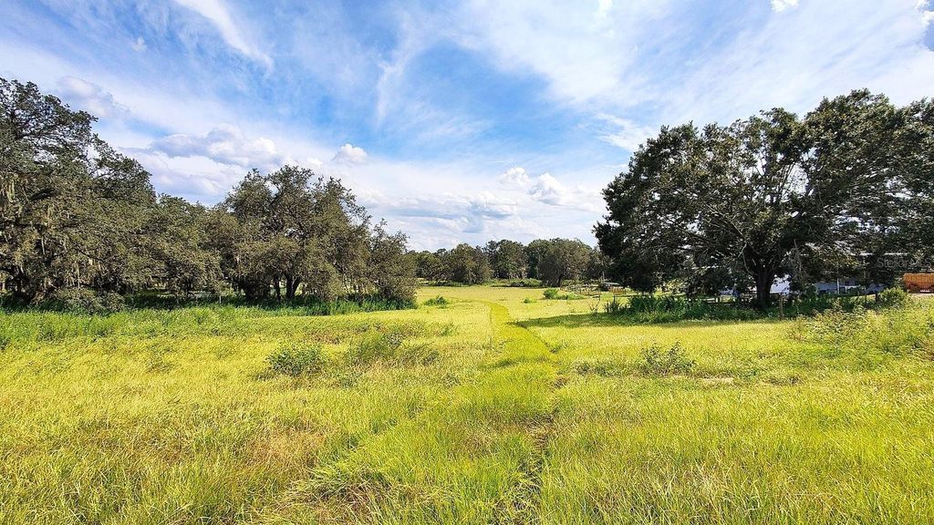 Photo of 0 A D May Road, Dade City, FL 33523 (MLS # TB8359048)