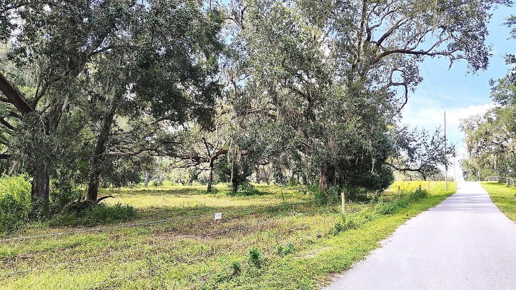 Photo of 0 A D May Road, Dade City, FL 33523 (MLS # TB8359048)