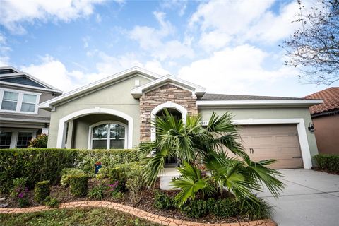 A home in RIVERVIEW