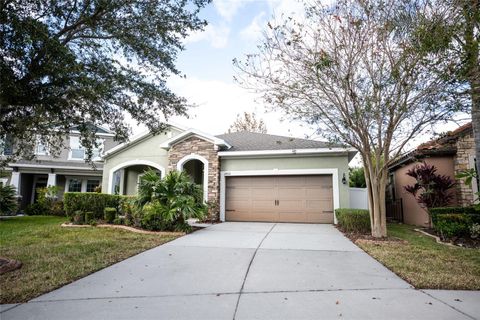 A home in RIVERVIEW