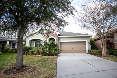 A home in RIVERVIEW